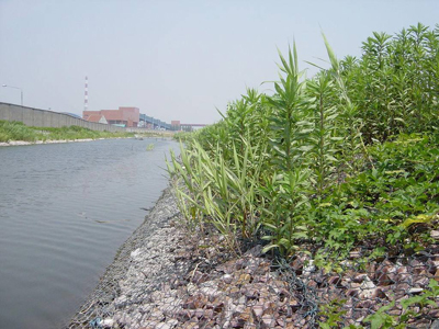河道石笼网 (2).jpg